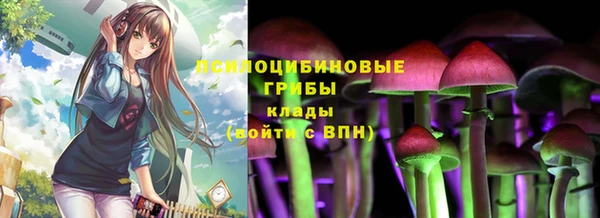 бошки Михайловск