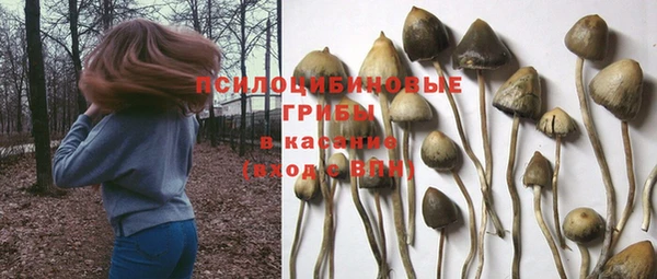 синтетический гашиш Михайлов