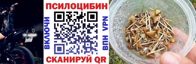 Купить  Приморск  Псилоцибиновые грибы ЛСД 